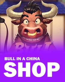 Bull in a China Shop