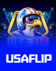 USA Flip