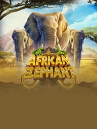 African Elephant