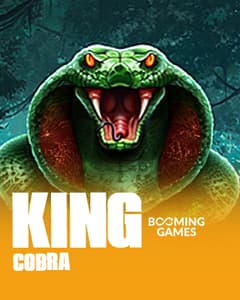 King Cobra