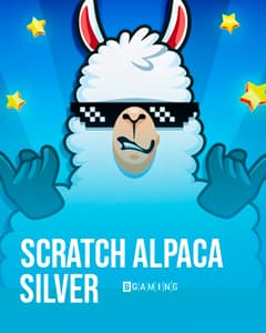 Scratch Alpaca Silver