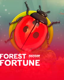 Forest Fortune