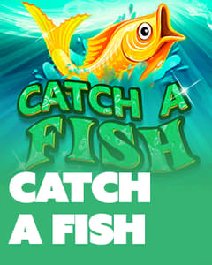 Catch a Fish