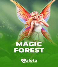 Magic Forest