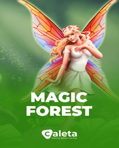Magic Forest
