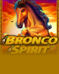 Bronco Spirit