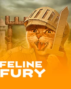 Feline Fury