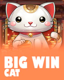 Big Win Cat
